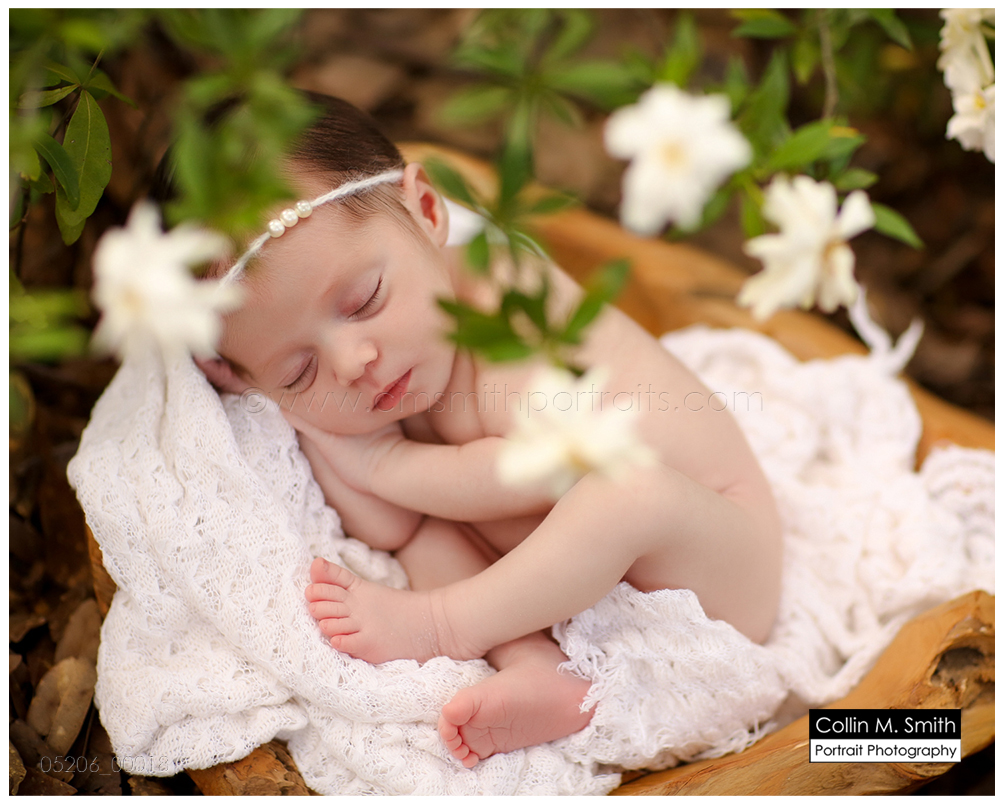 © Collin M. Smith Portrait Photography www.cmsmithportraits.com/blog